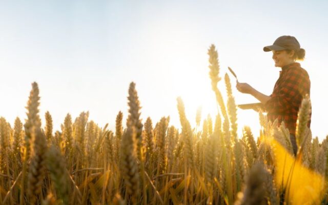 Optymalizacja plonów dzięki nowoczesnym maszynom rolniczym – AGROHANDEL